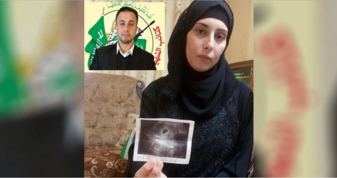 زوجة الشهيد محمد الفقيه: رسالة إلى المجهول