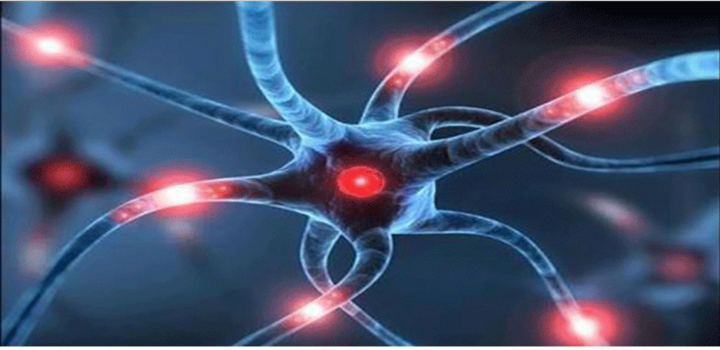 علماء يطورون أجهزة استشعار لاسلكية تزرع في الجسم لمراقبة الأعصاب
