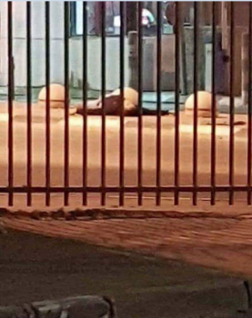 فيديو ..استشهاد شاب واصابة جندي بجروح خطيرة في عملية طعن على حاجز قلنديا