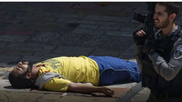 لأن سعيدًا فريدٌ من نوعه ..