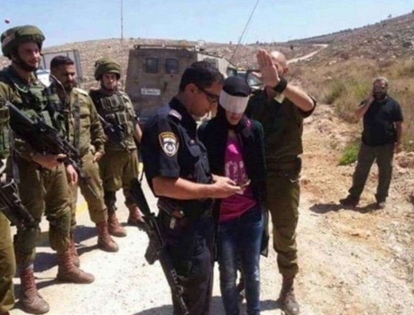 فيديو وصور : اعتقال فلسطينية بذريعة حيازتها سكين جنوب نابلس