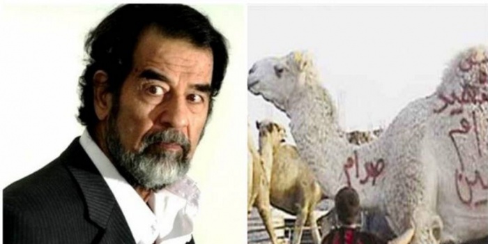 اليكم ما يفعله مسيحي أردني من اجل صدام في كل عيد أضحى