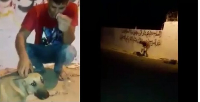 بالفيديو .. شبان يعذبون كلبا حتى الموت في غزة