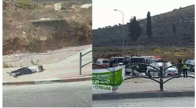 شاهد بالفيديو : لحظة اعدام الشهيدة رحيق وهي مصابة