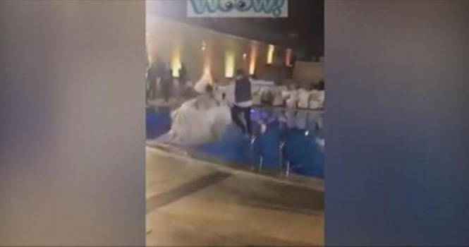 بالفيديو.. العروس الغريقة تروي قصتها