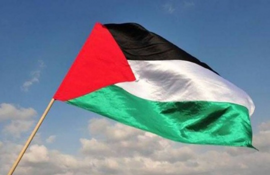 الإعلان رسميا عن تأسيس شبكة "المحققين الاستقصائيين" في فلسطين