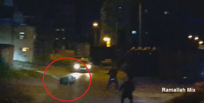 شاهد بالفيديو: خنزير شرس يهاجم الصياد جمال العمواسي وجها ً لوجه .. ما حدث كان صادما ً !