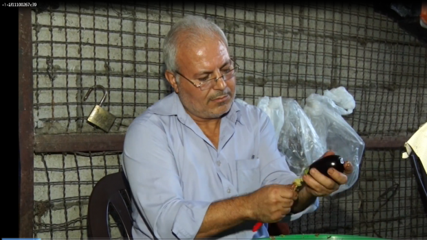 فيديو: فلسطيني يحفر المحاشي مقابل شواكل معدودة