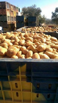 بالصور..الضابطة الجمركية تكشف عملية غش تجاري في جنين
