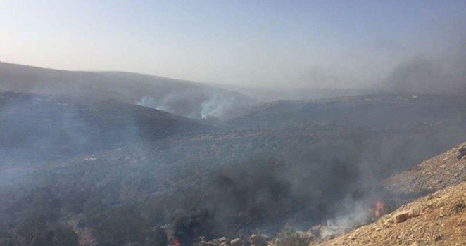 حريق هائل في عصيرة القبلية جنوب نابلس