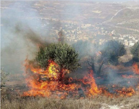 اسرائيل تتهم بلدة قطنة بحريق "نتاف" غرب القدس