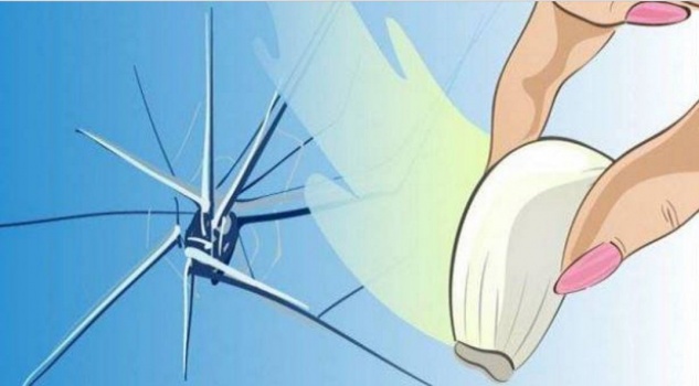 كيف تصلحون الزجاج المتشقق بواسطة فص ثوم ؟