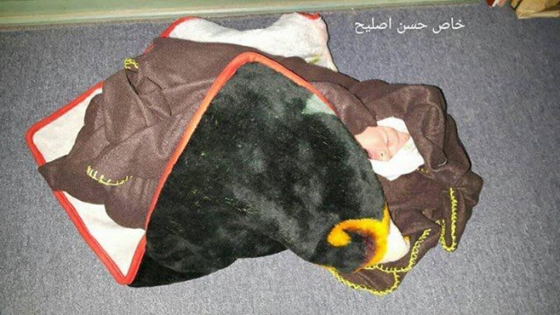"رضيع غزة" يسلّط الضوء على ملف "مجهولي النسب"