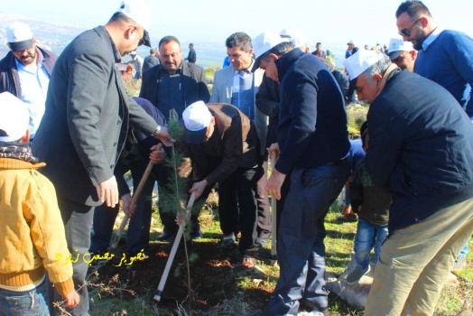بالصور..جنين تحتفل بيوم الشجرة