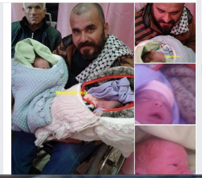 مواطن من قرية رمانة غرب جنين يرزق بتوأم بعد 13 عاماً من الانتظار