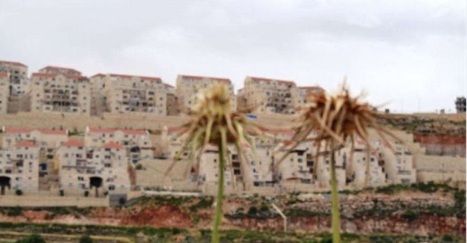 83% من الفلسطينيين اعتبروا قرار إدانة المستوطنات لصالح القضية