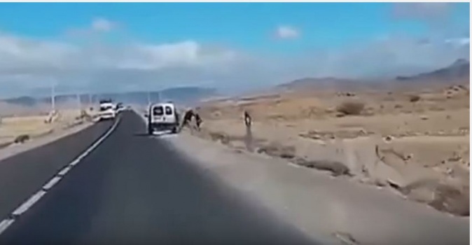 بالفيديو - مغربي يرمي طفلاً من السيارة على الطريق العام!!