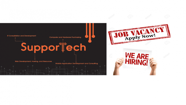 Job Vacancy - IT Sales Manager