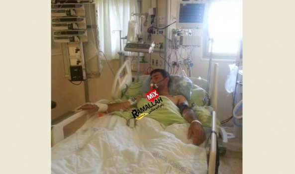 إصابة شاب من قرية تعنك غرب جنين جراء سقوطه من علو داخل أراضي الـ48