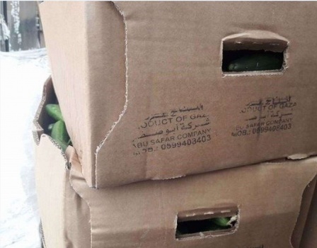 "خضار غزة" تغزو مطابخ الجيش الاسرائيلي
