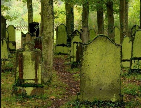 اكتشاف بقايا 800 جثة لأطفال داخل ملجأ ايتام بايرلندا