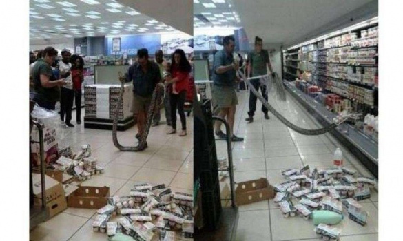 صور| هذا ما تم العثور عليه في ثلاجة سوبر ماركت بجنوب إفريقيا!