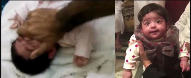 هل تذكرونها؟ ..ادّعاءات جديدة للسعودي الذي عذَّب طفلته.. هذا ما قاله!