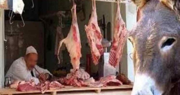ضبط لحوم حمير داخل مطعم شهير للكباب في مصر