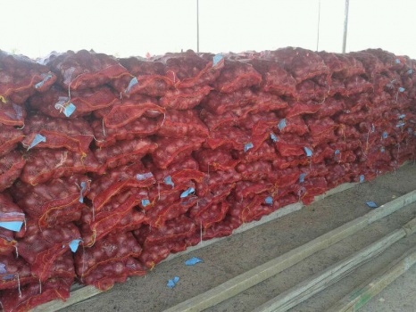نابلس: ضبط 20 طن بصل مهرب من اسرائيل