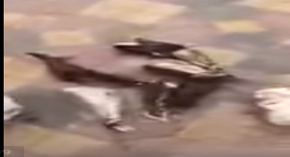 حقيقة فيديو متداول لعامل وضع صقوراً حية في الفريزر بالخطأ وتسبب في موتها