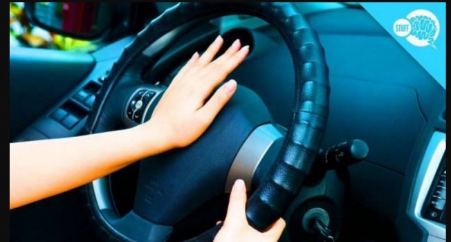 العلماء سيستبدلون الزمور بأصوات البط.. لهذه الأسباب!