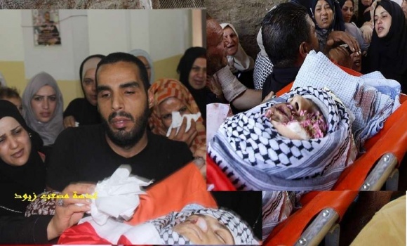 بحسرة وألم...الألاف يشيعون الشهيدين صلاح وسلامة في جنين