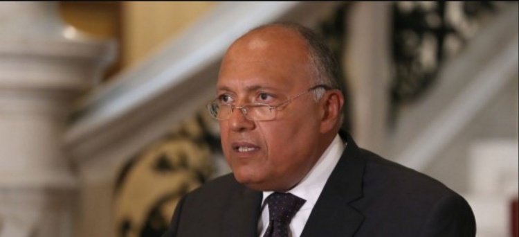 وزير الخارجية المصري: مستمرون في معاقبة قطر.. وحل الأزمة بشرط