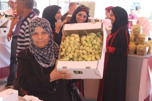 اختتام فعاليات أيام العنب الفلسطيني في جنين