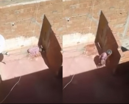 شاهد ...مغربيّة تحتجز والدتها على سطح منزلها في الشمس الحارقة!