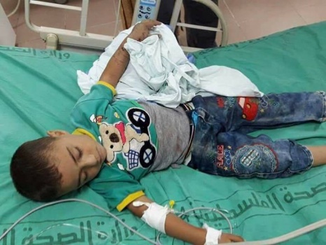 بالصور..إصابة طفل بلدغة أفعى شرق نابلس