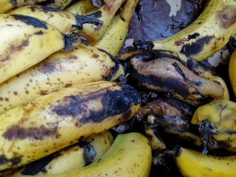 بالصور...ضبط 200 كغم موز فاسد في جنين