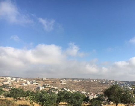 الطقس: جو صاف وارتفاع على الحرارة