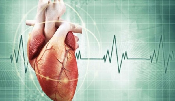 ما لا تعرفه عن القلب