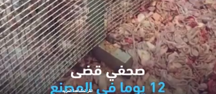 شاهد ماذا يحدث داخل أشهر مصنع للدجاج في بريطانيا؟