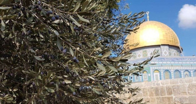 125 انتهاكا للمسجدين الاقصى والابراهيمي خلال شهر