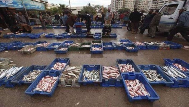 مصر تفتتح أكبر مزرعة أسماك بالشرق الأوسط