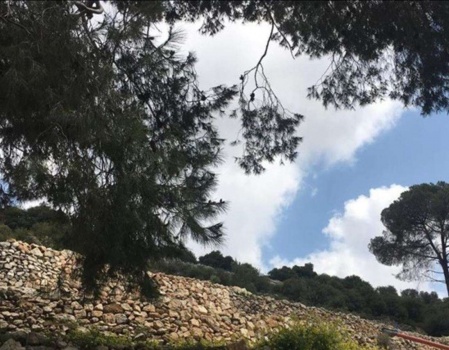 الطقس: ارتفاع طفيف في درجات الحرارة وغدا انخفاض