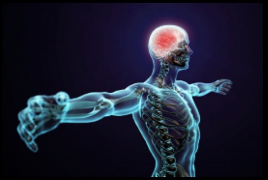 6 معلومات خاطئة عن جسم الإنسان