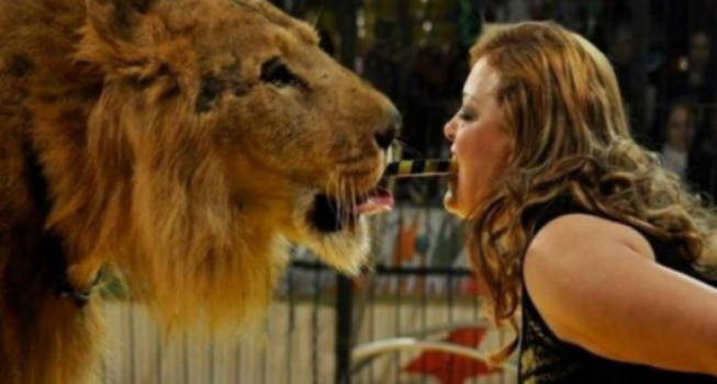 مدربة أسود عالمية تتعرض لأزمة صحية... هذا ما حصل معها!