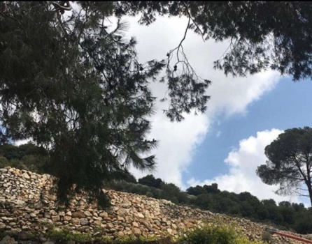 ارتفاع درجات الحرارة