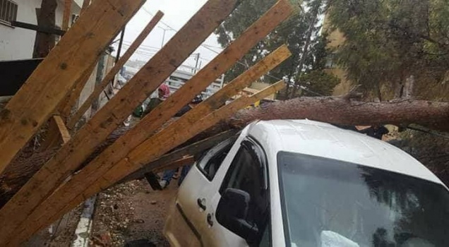 بالصور... أضرار وسيول متواصلة جراء المنخفض الجوي في جنين