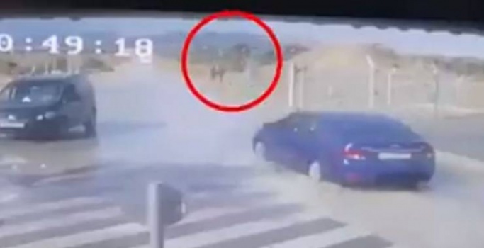 الاعلام العبري ينشر فيديو للحظة تنفيذ سائق فلسطيني عملية دهس باللنبي