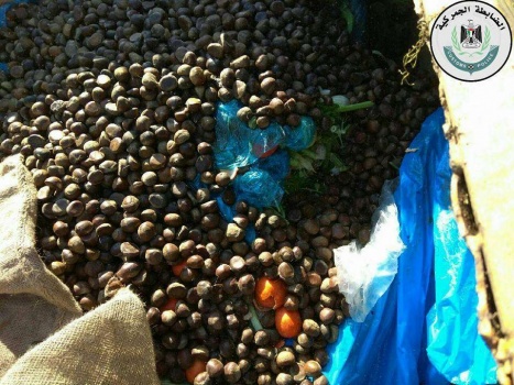 بالصور..اتلاف كمية من "الكستنة" الفاسدة في جنين