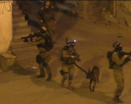 الاحتلال يعتقل 12 مواطنا بالضفة ويصادر الاف الشواقل